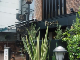 成城 Pesca Cafe トイプ ムースと Happy Days