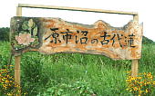 古代ハス看板
