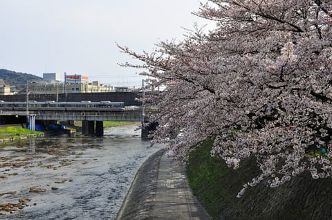 090405biwako223