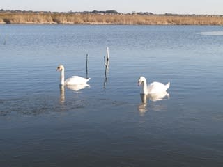 IMG_5041