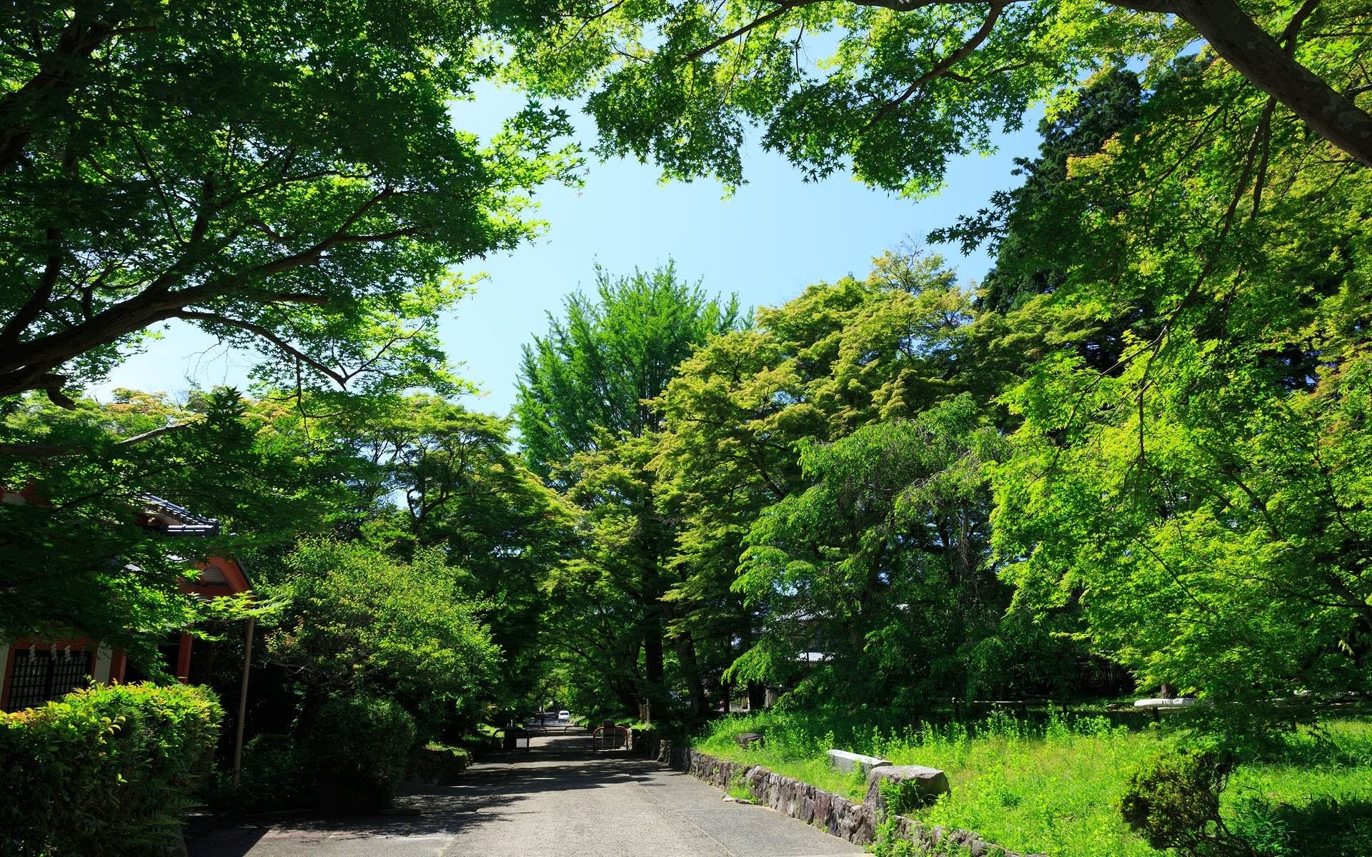 17年濃緑の京都 鷺森神社の壁紙 計8枚 壁紙 日々駄文
