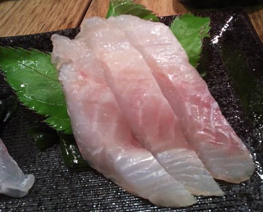 驚愕のメロウドメバルの味にも驚愕 Humdrum 驚愕のメロウドメバルの味にも驚愕 Humdrum
