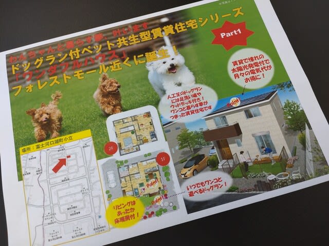 【カトリホーム】～ワンコと暮らす夢、今、ここに叶う～ №13