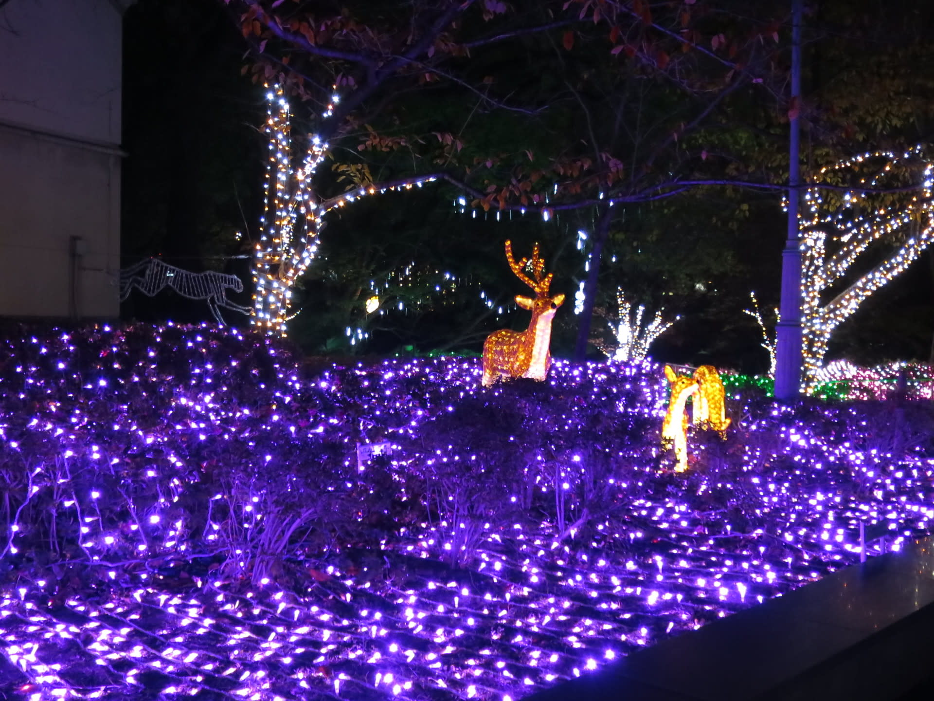 天王寺イルミネーション 大阪 亀の子たわしの街ブラ大好き