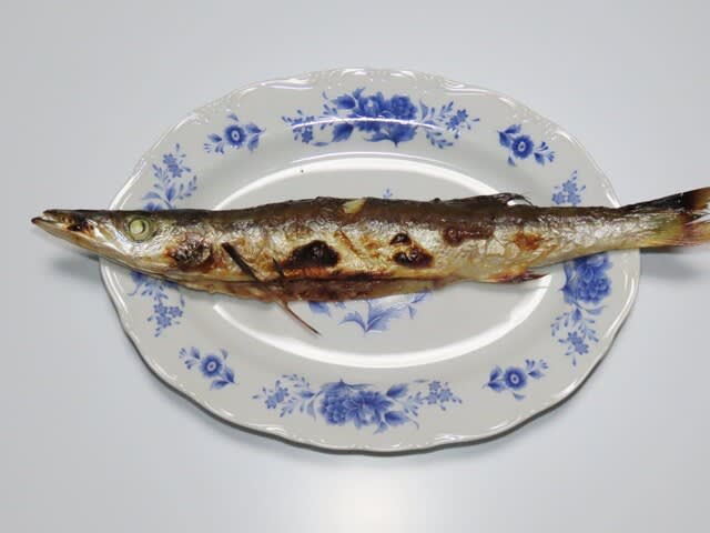 カマス 魳 の塩焼き ｍｔ７７のｂｌｏｇ