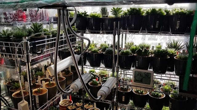 植物育成ライトを設置 - @DUKAのヴェブログ ver.2.5