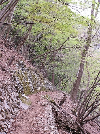 奥多摩 川苔山 奥多摩 川苔山