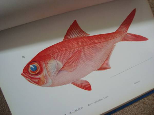 お気に入りその683～日本水産魚譜 - 鬼平や竹鶴～私のお気に入り～