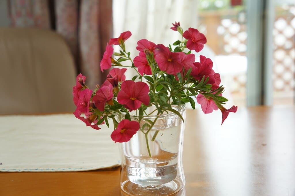 必見 丈の短い花の生け方 プラスチックコップ編 Nasu Star S Blog