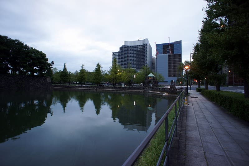 早朝の皇居前広場散歩 ｒｏｓｓさんの大阪ハクナマタタ