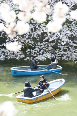 千鳥ヶ淵