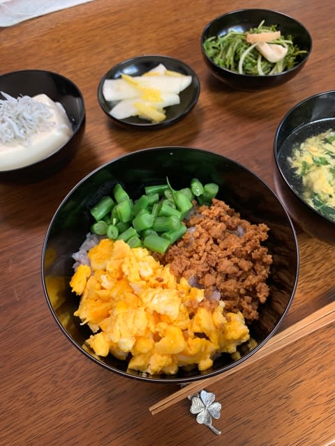 三色丼でキュッキュッ！ 沖縄県産いんげんを楽しむ 過労死予備群の「食から笑顔になる生活」