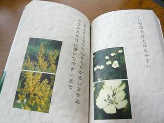 貞三先生の花言葉365篇 風のガーデン にぃにぃのつぶやき