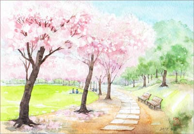 つくば市松代公園の桜道 おさんぽスケッチ にじいろアトリエ 水彩 色鉛筆イラスト スケッチ
