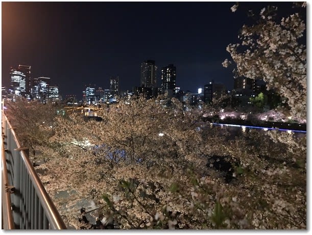 八軒屋浜の花見