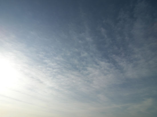 100322100_6599 100322100_6599