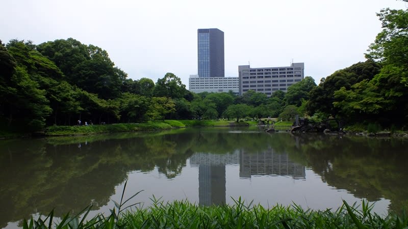 小石川後楽園の池