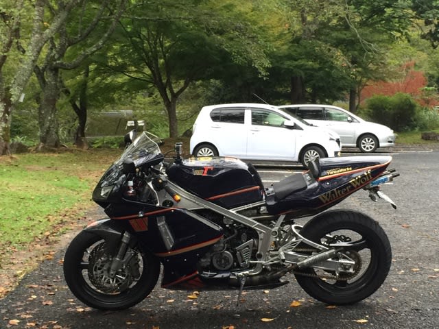 イメージ 5