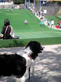 東平尾公園