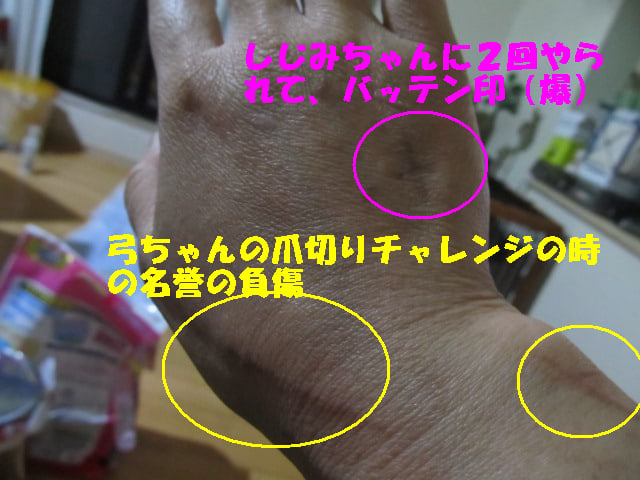 イメージ 1
