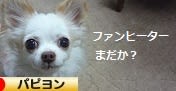 にほんブログ村 犬ブログ パピヨンへ