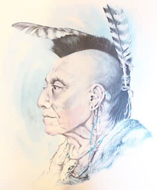 継承される伝統文化 到来する時代の波カナダ先住民 ヒューロン族を 先住民族関連ニュース