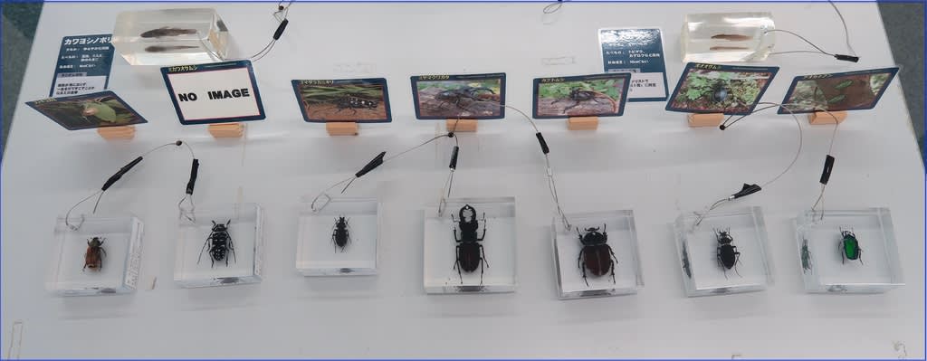 日本一の水車がある岐阜県恵那市の 道の駅おばあちゃん市 山岡 と 小里川ダム 自然を求めて近辺ぶらり