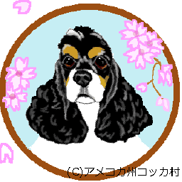 Q Tbn 3aand9gcrwtphnhfgjq572vsxpu nocrblyqnokhsw Usqp Cau
