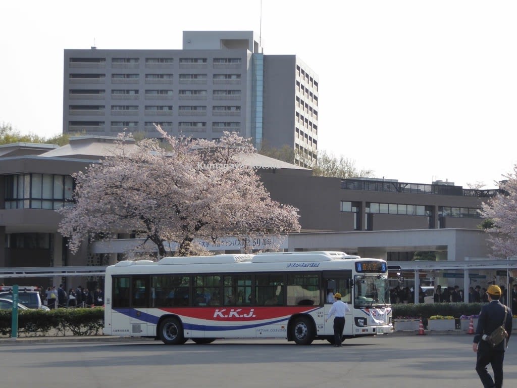 4月1日 立正大学入学式 シャトルバス Kumagaya Kotsuuバス館