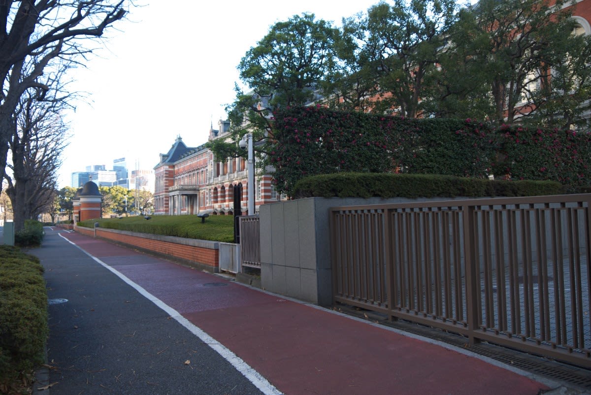 １月の霞が関 霞が関二丁目交差点前から桜田門 警視庁本庁舎前へ ｐａｒｔ２ 緑には 東京しかない
