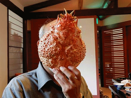 伊豆旅行 2日め ほくっち ぺーたん 伊豆旅行 2日め ほくっち ぺーたん