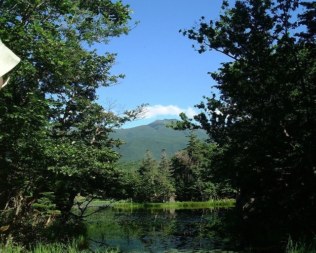 2001.7.18　知床二湖と羅臼岳２（知床）