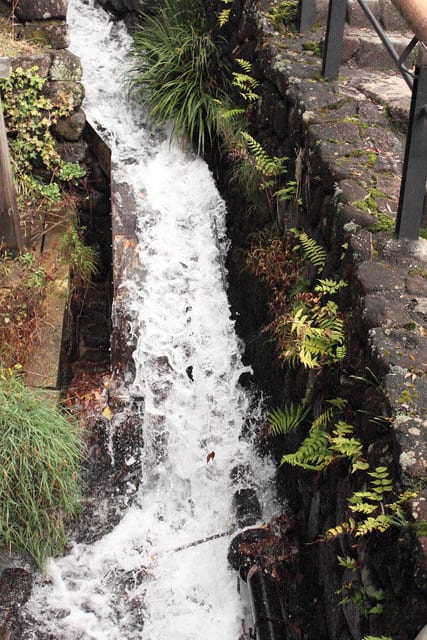 magome20151118012.jpg