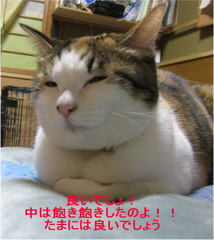 居座るつもりらしい