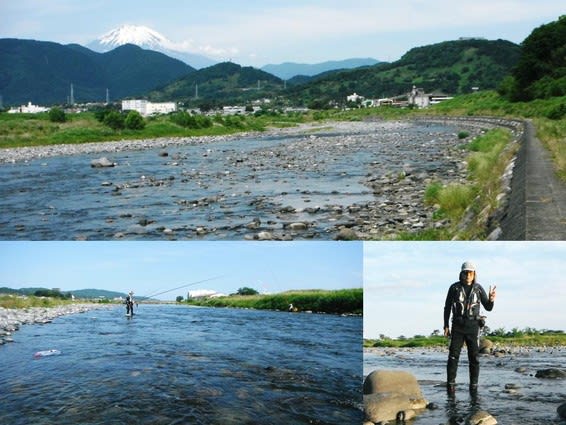 6 4 日 神奈川県 酒匂川藪下 6 1 木 酒匂川 鮎釣り解禁 相模の鮎 雨 さん 6 4 日 神奈川県 酒匂川藪下 6 1 木 酒匂川 鮎釣り解禁 相模の鮎 雨 さん