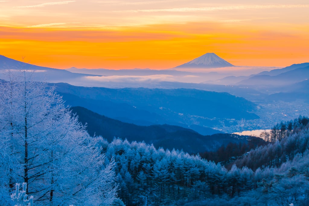 高ボッチからの霧氷と富士の写真