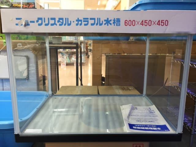 鈴木製作所水槽60cm - セルバス平井店