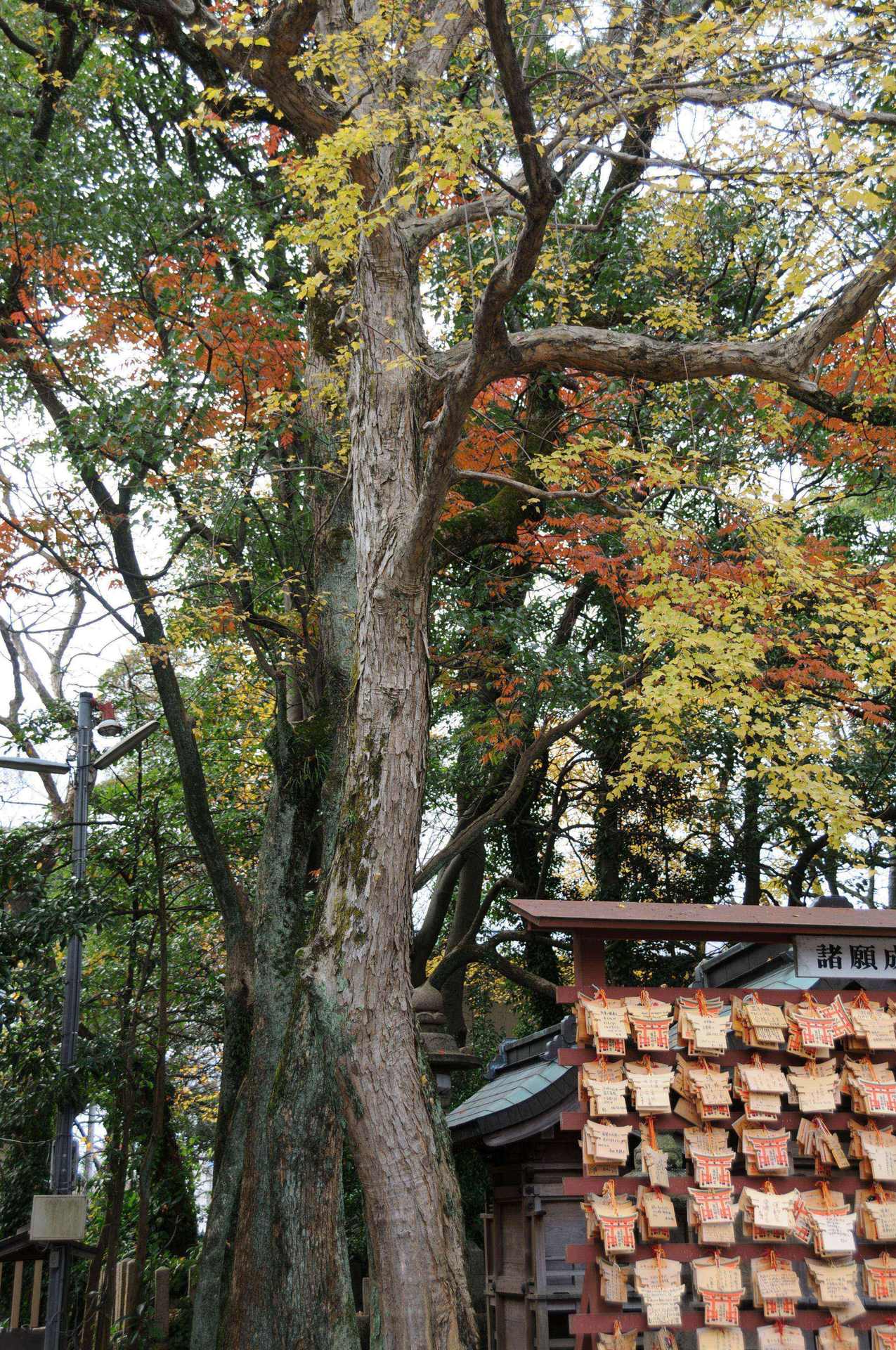 日帰りバス旅行!の画像
