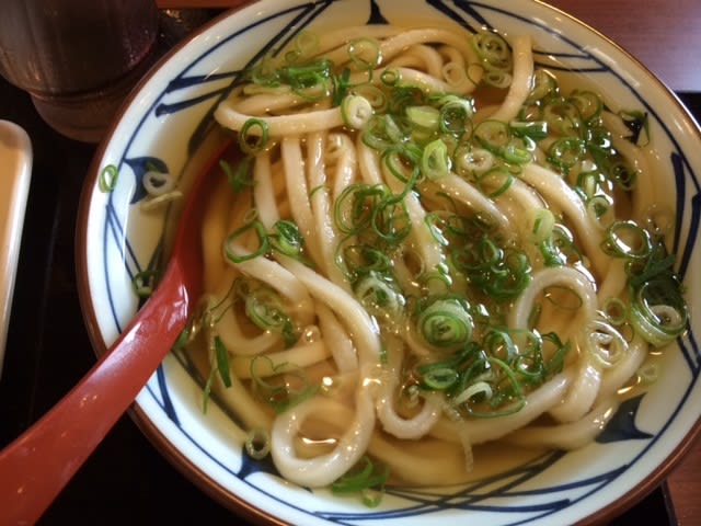 20140812_丸亀製麺_1.JPG