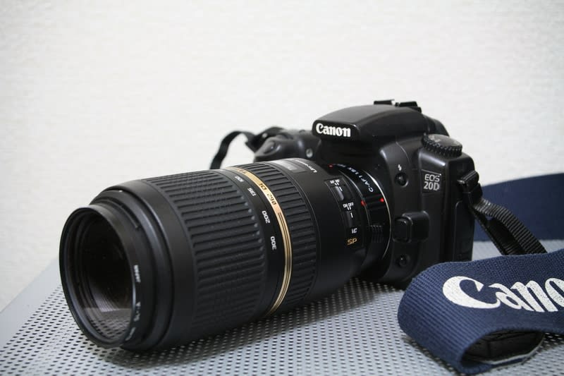 帰ってきたEOS 20D。あれ?そちらの方は? - 川瀬水樹のカワセミ 帰ってきたEOS 20D。あれ?そちらの方は? - 川瀬水樹のカワセミ