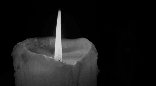 風前の灯 転ばぬ先の杖 南無煩悩大菩薩 風前の灯 転ばぬ先の杖 南無煩悩大菩薩