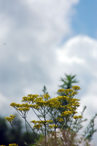 05 05