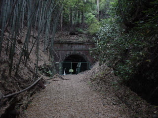 ここは都内某所 人骨 ここは都内某所 人骨