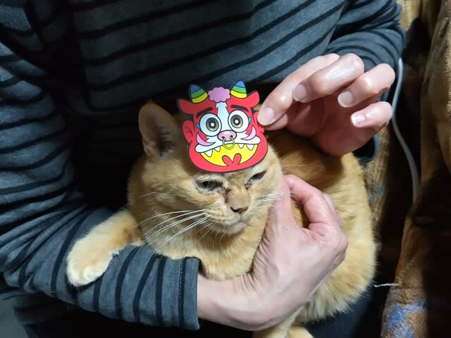 2月2日に鬼を退治する的なアレ 波と狛のつれづれ日記 2月2日に鬼を退治する的なアレ 波と狛のつれづれ日記