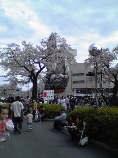 桜祭り