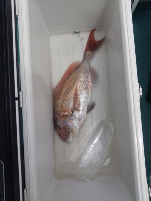 Hjfoljnfpefdgm Hjfoljnfpefdgm