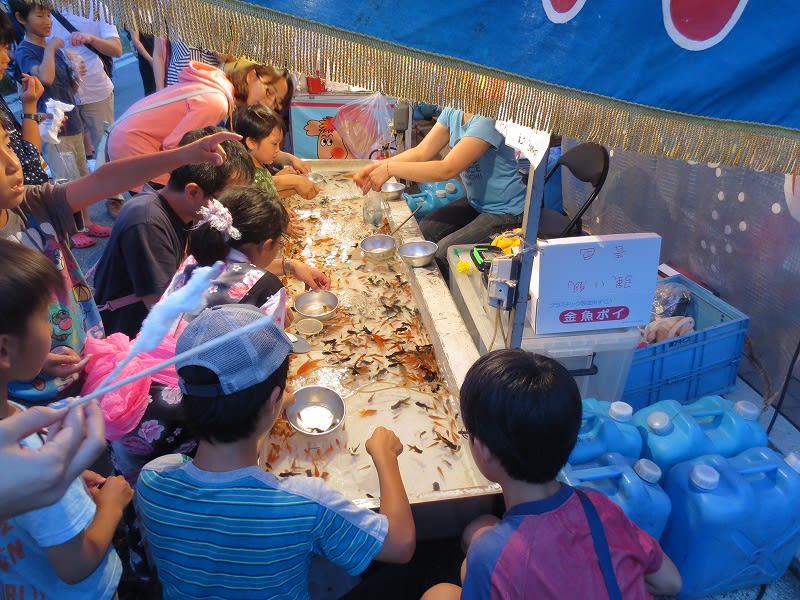 22公式店舗 金魚すくい 夏祭り うさぎちゃん おもちゃ 人形