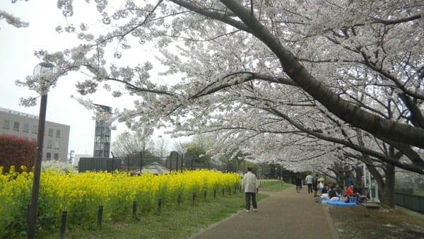 井草の森公園 自転車
