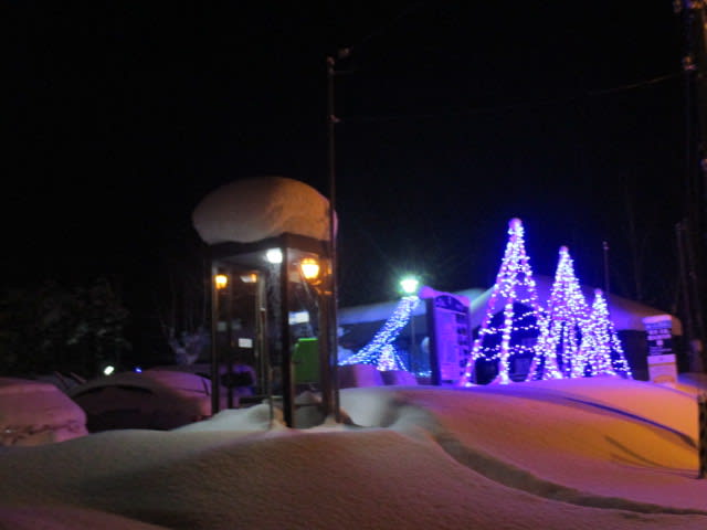 雪の花