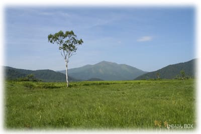 至仏山